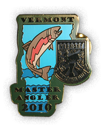 2010 Pin